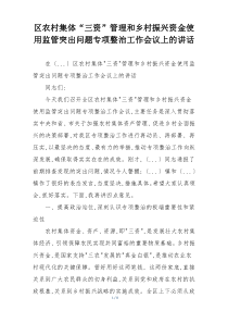 区农村集体“三资”管理和乡村振兴资金使用监管突出问题专项整治工作会议上的讲话