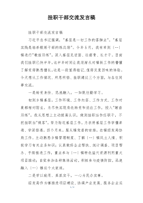 挂职干部交流发言稿