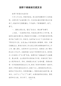 挂职干部座谈交流发言