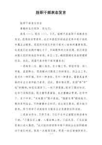 挂职干部表态发言