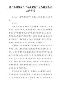 县“冬煤夏储”“冬病夏治”工作推进会议上的讲话