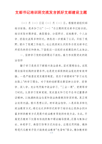 支部书记培训班交流发言抓好支部建设主题