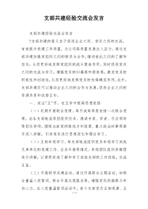 支部共建经验交流会发言