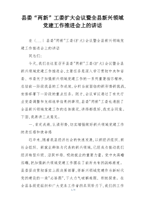 县委“两新”工委扩大会议暨全县新兴领域党建工作推进会上的讲话