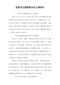 县委书记观看阅兵式心得体会
