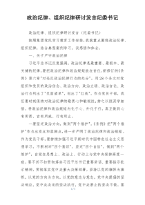 政治纪律、组织纪律研讨发言纪委书记
