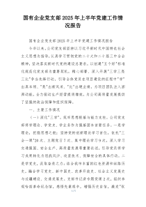 国有企业党支部2025年上半年党建工作情况报告