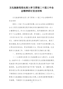 文化旅游局局长深入学习贯彻二十届三中全会精神研讨发言材料