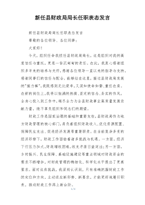 新任县财政局局长任职表态发言