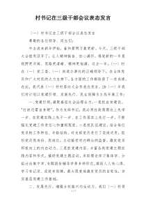 村书记在三级干部会议表态发言
