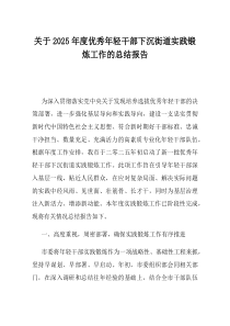 关于2025年度优秀年轻干部下沉街道实践锻炼工作的总结报告