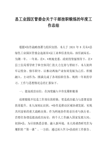 县工业园区管委会关于干部挂职锻炼的年度工作总结