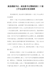 某县委副书记、政法委书记围绕党的二十届三中全会研讨发言提纲