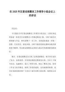 在2025年区委巡视整改工作领导小组会议上的讲话