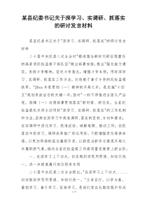某县纪委书记关于深学习、实调研、抓落实的研讨发言材料