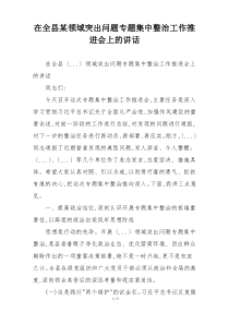 在全县某领域突出问题专题集中整治工作推进会上的讲话