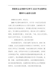 某国有企业党委书记学习2025年全国两会精神中心组研讨发言
