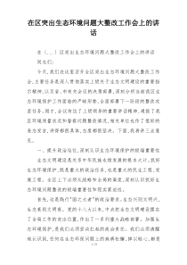 在区突出生态环境问题大整改工作会上的讲话