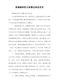某镇森林防火部署会表态发言