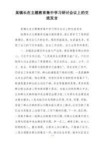某镇长在主题教育集中学习研讨会议上的交流发言