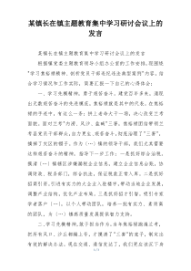 某镇长在镇主题教育集中学习研讨会议上的发言