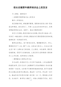 校长在镇青年教师培训会上的发言