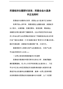 民营经济主题研讨发言：民营企业大显身手正当其时