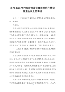 在市2025年污染防治攻坚暨秋季秸秆禁烧推进会议上的讲话