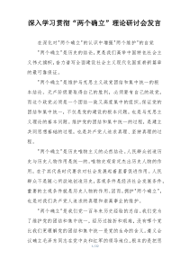 深入学习贯彻“两个确立”理论研讨会发言
