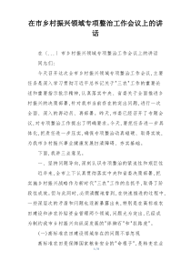 在市乡村振兴领域专项整治工作会议上的讲话