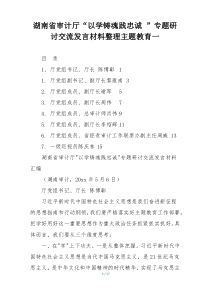 湖南省审计厅“以学铸魂践忠诚 ”专题研讨交流发言材料整理主题教育一