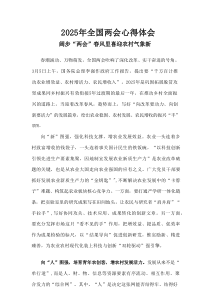 班子2025年全国两会发言稿合集资料