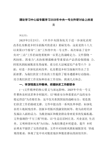 理论学习中心组专题学习2025年中央一号文件研讨会上的发言（8篇）