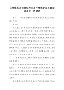 在市生态文明建设和生态环境保护委员会全体会议上的讲话