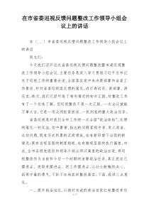 在市省委巡视反馈问题整改工作领导小组会议上的讲话