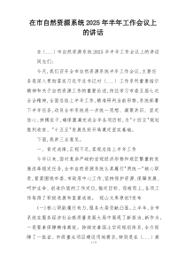 在市自然资源系统2025年半年工作会议上的讲话