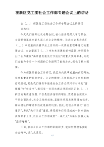 在新区党工委社会工作部专题会议上的讲话
