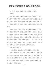在集团巡视整改工作专题会议上的讲话