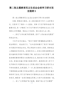 第二批主题教育民主生活会会前学习研讨发言提纲5
