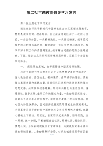 第二批主题教育领导学习发言