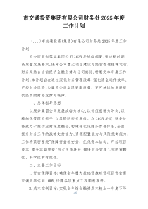 市交通投资集团有限公司财务处2025年度工作计划