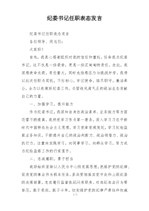 纪委书记任职表态发言