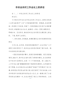 市农业农村工作会议上的讲话