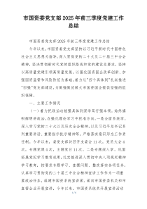 市国资委党支部2025年前三季度党建工作总结
