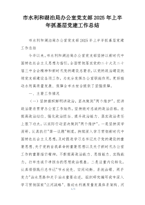 市水利和湖泊局办公室党支部2025年上半年抓基层党建工作总结