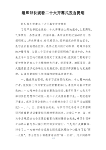 组织部长观看二十大开幕式发言提纲