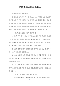 经济责任审计表态发言
