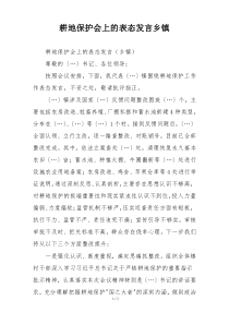 耕地保护会上的表态发言乡镇