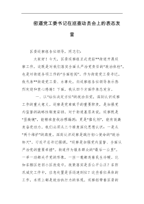 街道党工委书记在巡查动员会上的表态发言