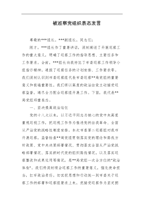被巡察党组织表态发言